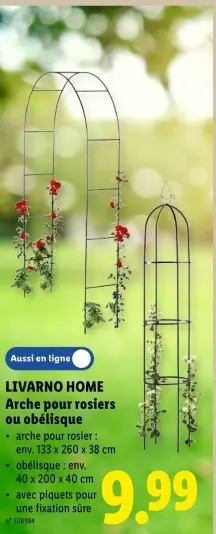 Offre: Arche pour rosiers ou obélisque