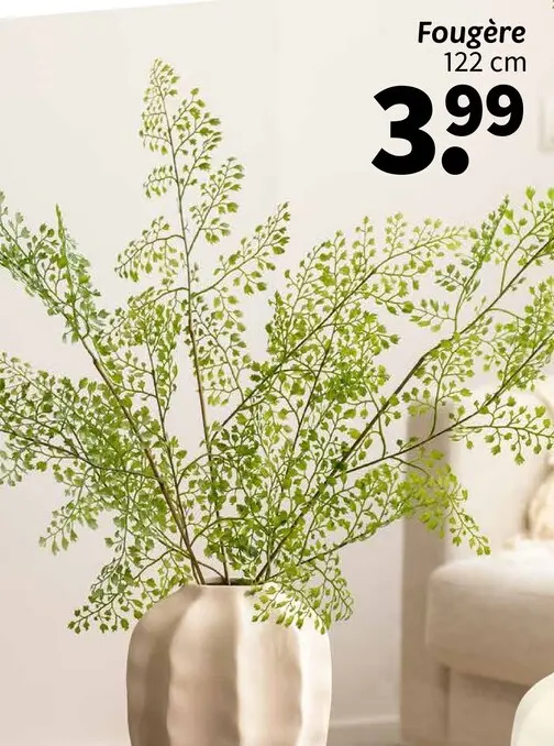 Offre: Fougère