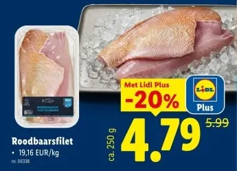 Promotie: Roodbaarsfilet