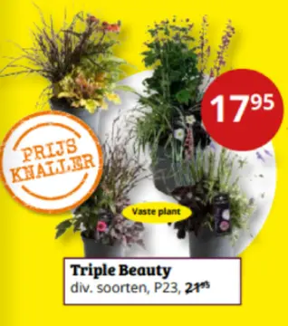 Aanbieding: Triple Beauty