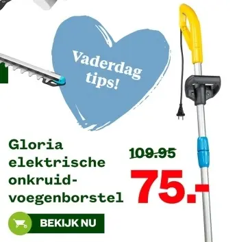 Aanbieding: elektrische onkruid-voegenborstel