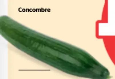 Offre: Concombre