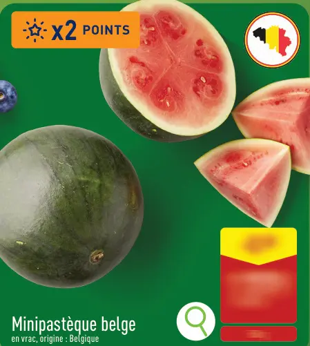 Offre: Minipastèque belge