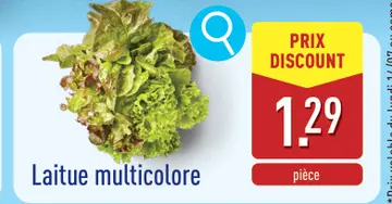 Offre: Laitue multicolore