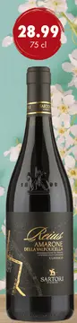 Aanbieding: Reius Amarone Della Valpolicella Classico