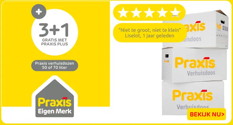 Aanbieding: Praxis verhuisdozen