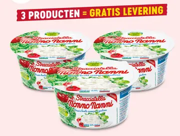 Aanbieding: Stracciatella Nonno Nanni