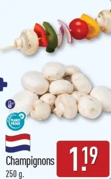 Aanbieding: Champignons