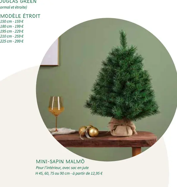 Offre: Mini-sapin malmö