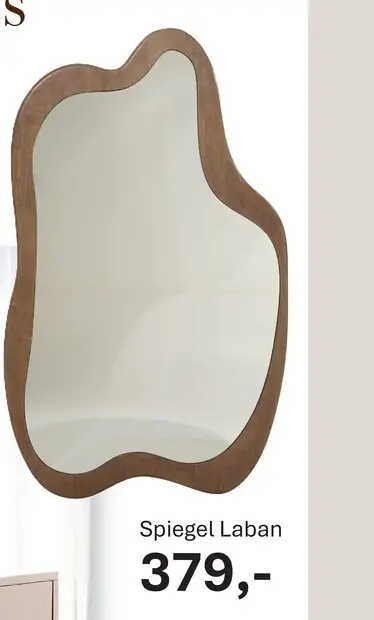 Aanbieding: Spiegel Laban