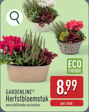 Promotie: GARDENLINE® Herfstbloemstuk
