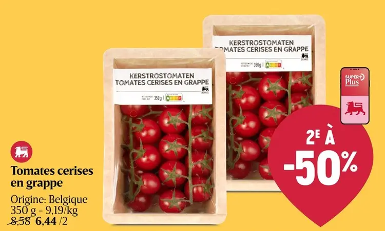 Offre: Tomates cerises en grappe