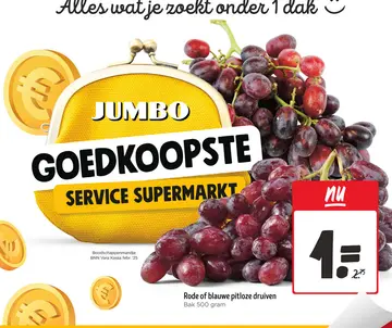 Aanbieding: Rode of blauwe pitloze druiven