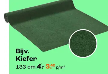 Aanbieding: Bijv. Kiefer