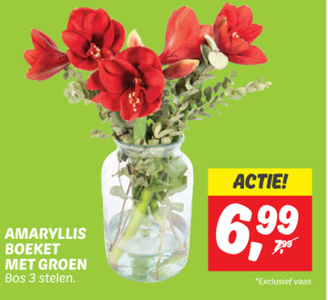 Aanbieding: AMARYLLIS BOEKET MET GROEN 