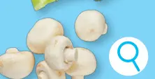 Promotie: Champignons fins