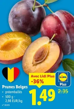 Offre: Prunes Belges