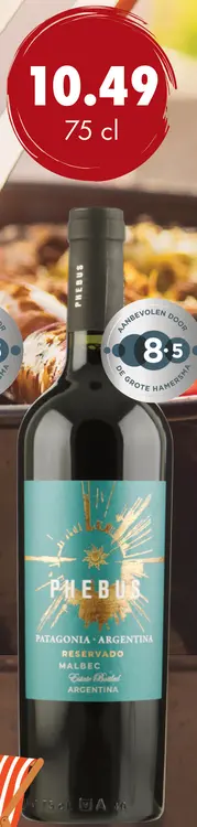 Aanbieding: Phebus Reservado Patagonia Malbec
