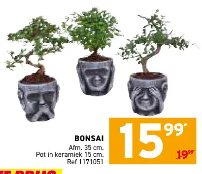 Promotie: Bonsai