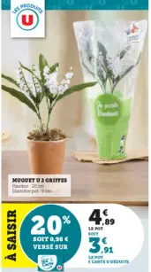 Aanbieding: MUGUET U 2 GRIFFES