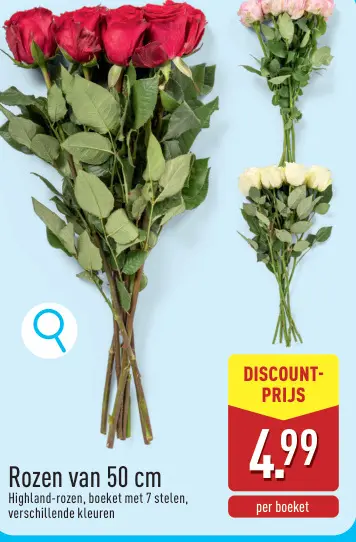 Promotie: Rozen van 50 cm