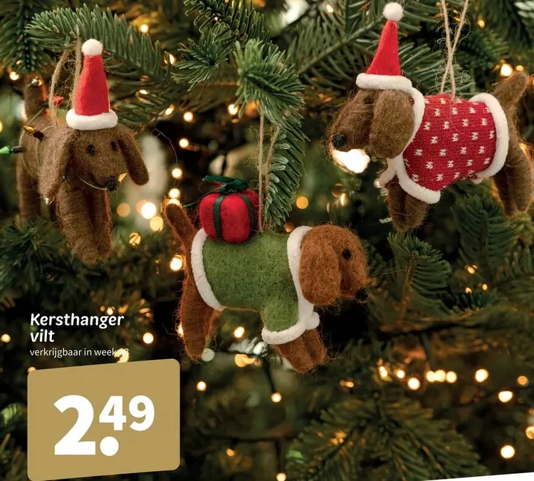 Promotie: Kersthanger vilt