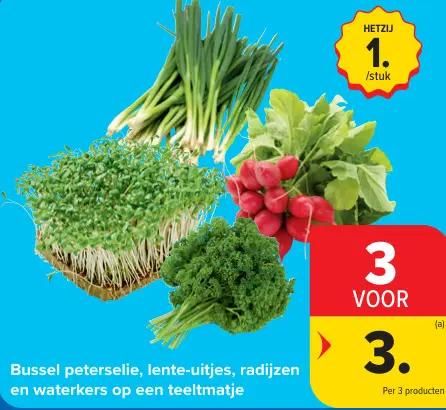 Promotie: Bussel peterselie, lente-uitjes, radijzen en waterkers op een teeltmatje