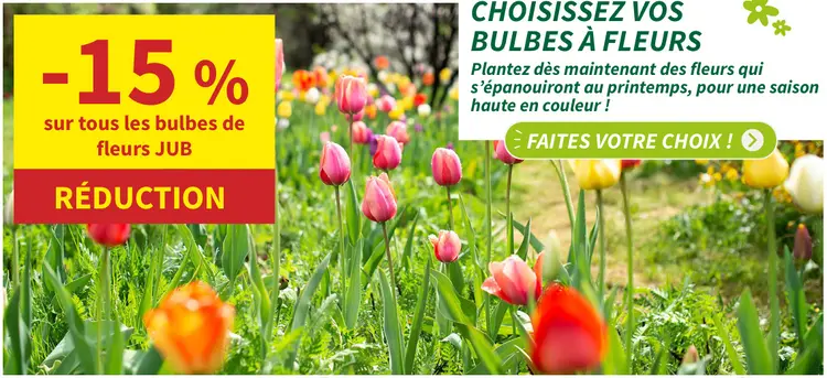 Offre: Bulbes à fleurs