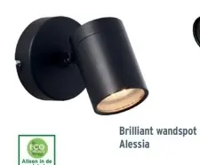 Aanbieding: wandspot