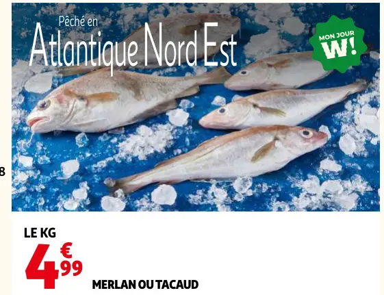 Offre: Merlan ou tacaud