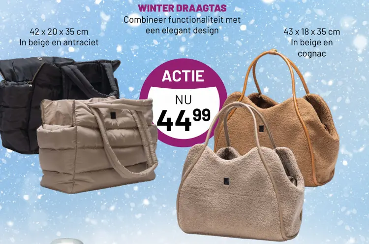 Aanbieding: Winter draagtas
