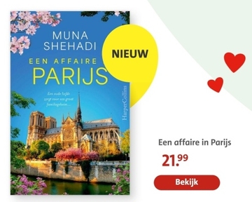 Aanbieding: Een affaire in Parijs