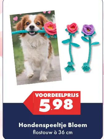 Aanbieding: Hondenspeeltje Bloem
