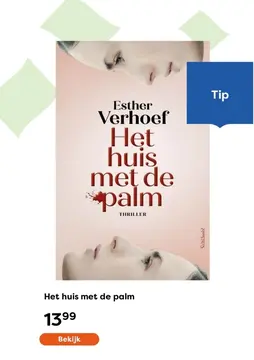 Aanbieding: Het huis met de palm