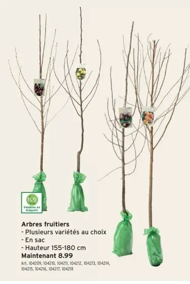 Offre: Arbres fruitiers