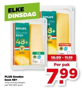 Goudse kaas 48+