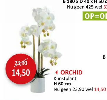 Promotie: Kunstorchidee