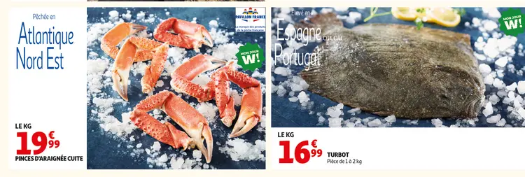 Offre: Pinces d'araignée cuite