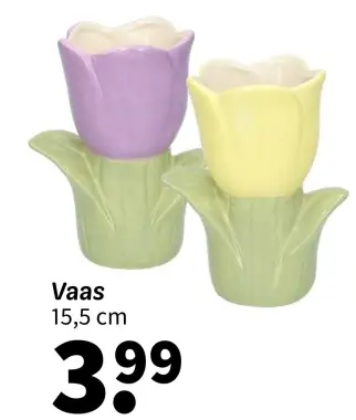 Promotie: Vaas