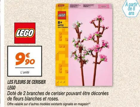 Offre: Fleurs de cerisier