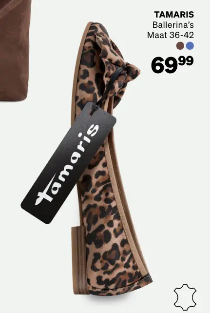 Aanbieding: Ballerina's