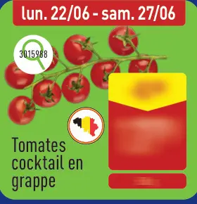 Offre: Tomates cocktail en grappe