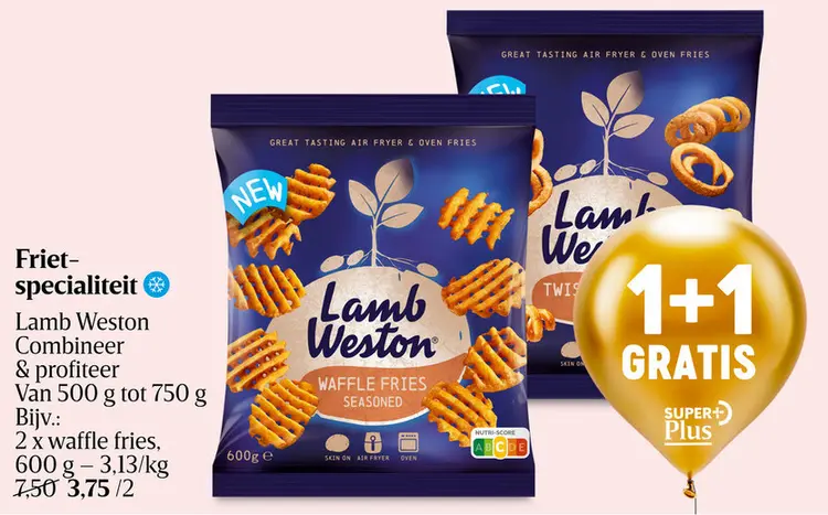 Aanbieding: Frietspecialiteit