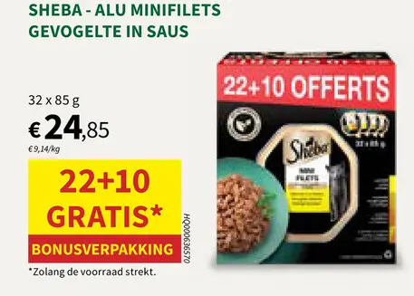 Promotie: Minifilets gevogelte in saus