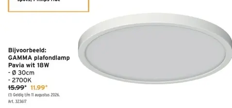 Promotie: Plafondlamp Pavia wit