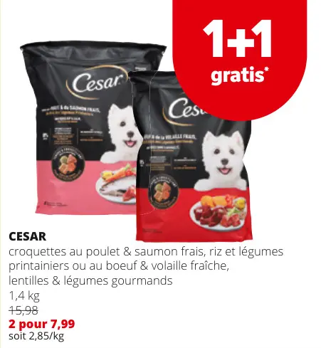 Offre: Cesar