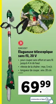 Offre: élagueuse télescopique sans fil, 20 V