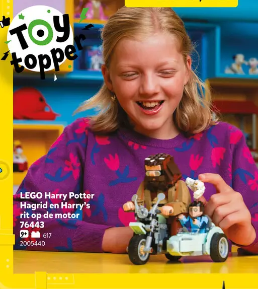 Aanbieding: Hagrid en Harry's rit op de motor