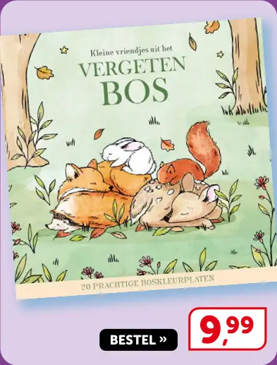 Promotie: Kleine vriendjes uit het Vergeten Bos - Cozy kleurboek