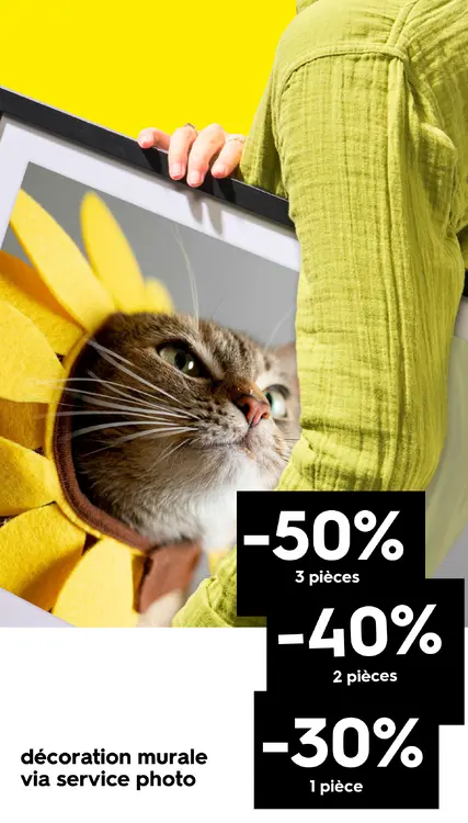 Offre: décoration murale